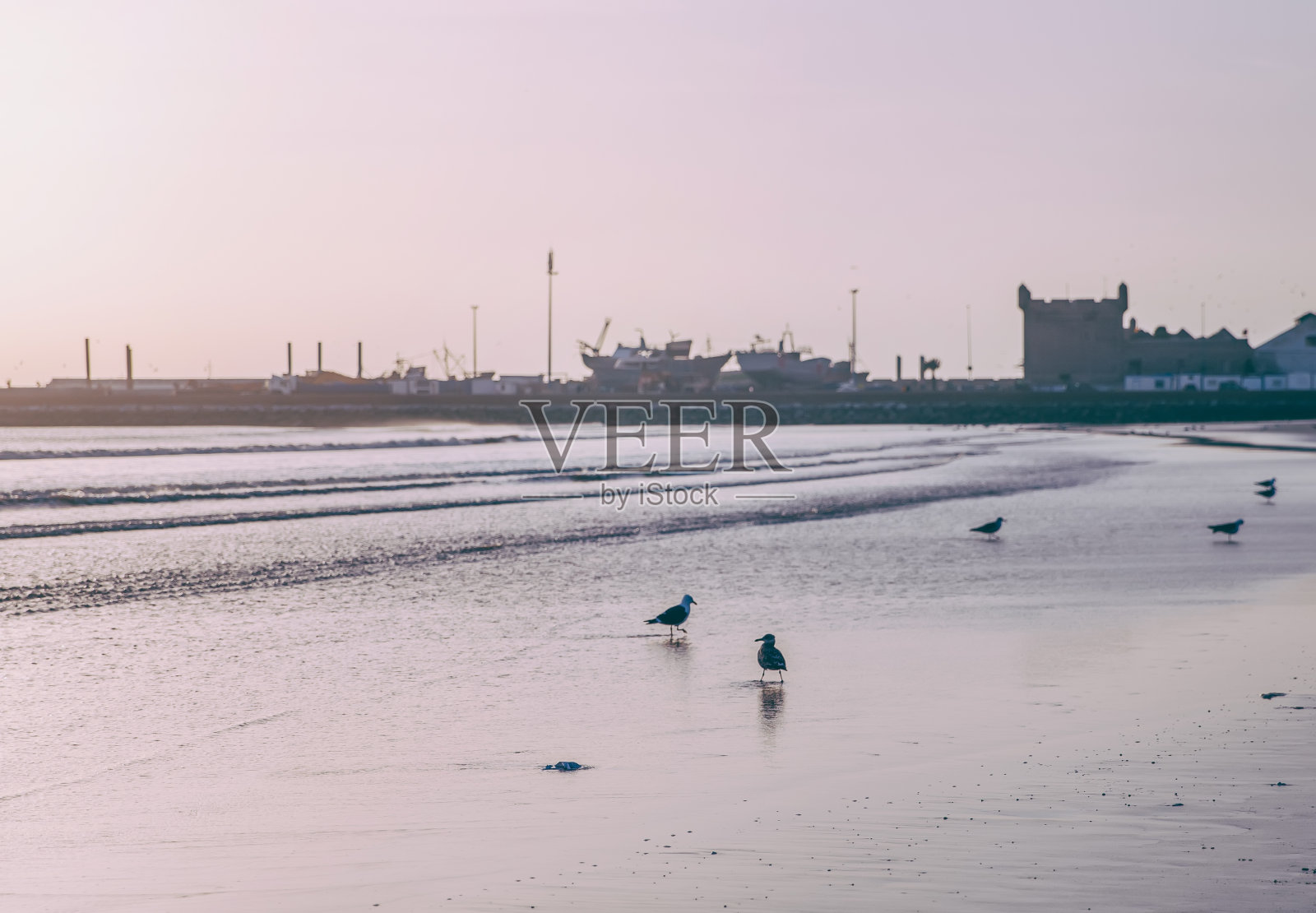 海边的Essaouira照片摄影图片