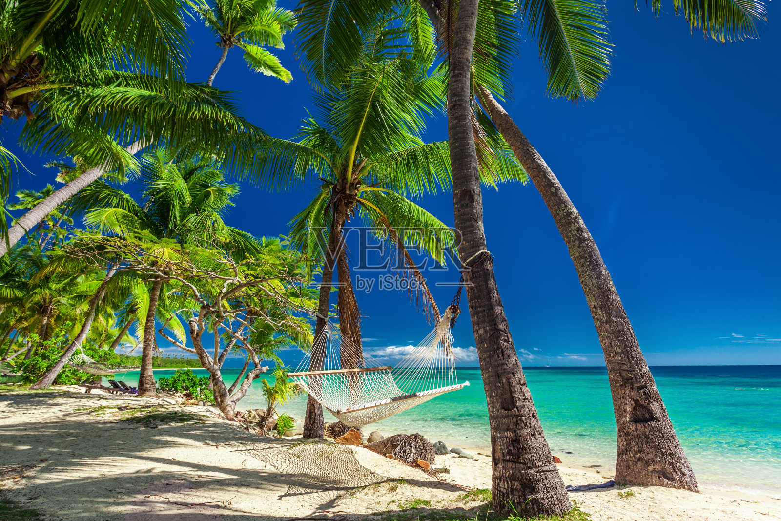 在斐济群岛的热带棕榈树树荫下的空吊床照片摄影图片