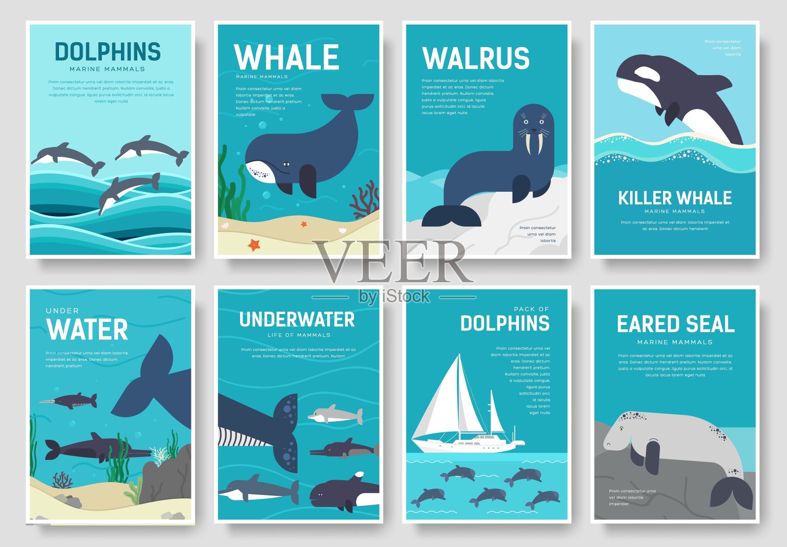 一套海洋哺乳动物模式概念。艺术动物、杂志、书籍、海报、抽象、横幅、元素。载体鱼在海洋生活包装贺卡或邀请小册子设计。设计元素图片
