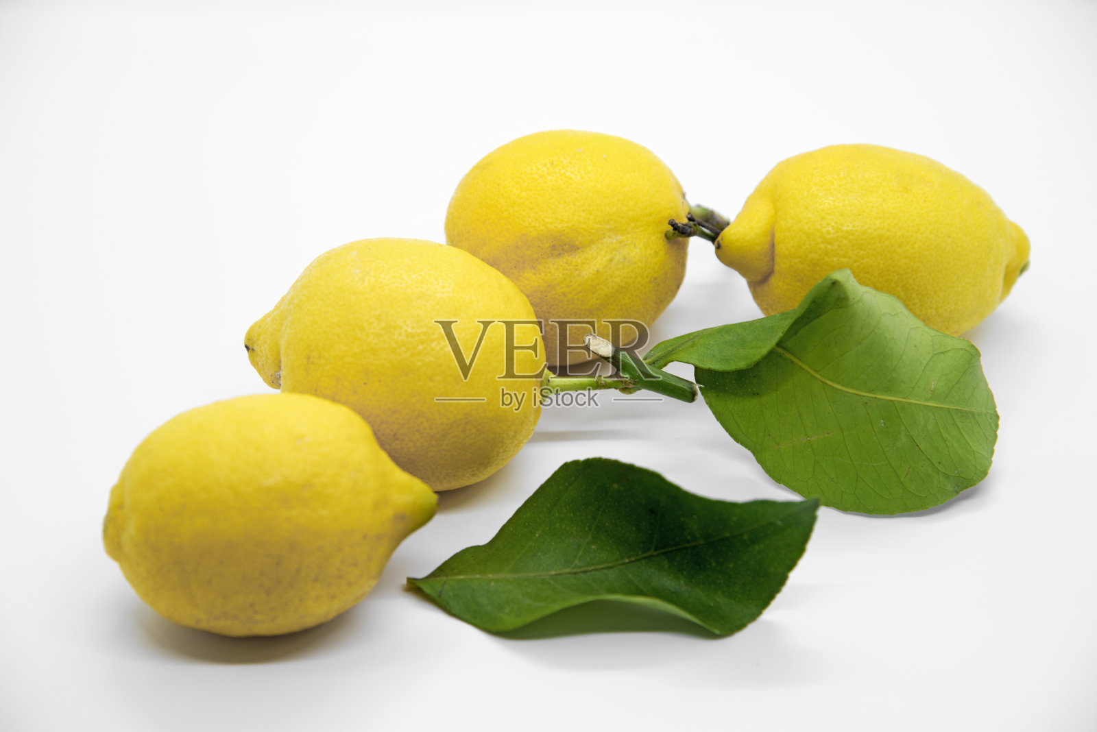 叶子白的柠檬照片摄影图片