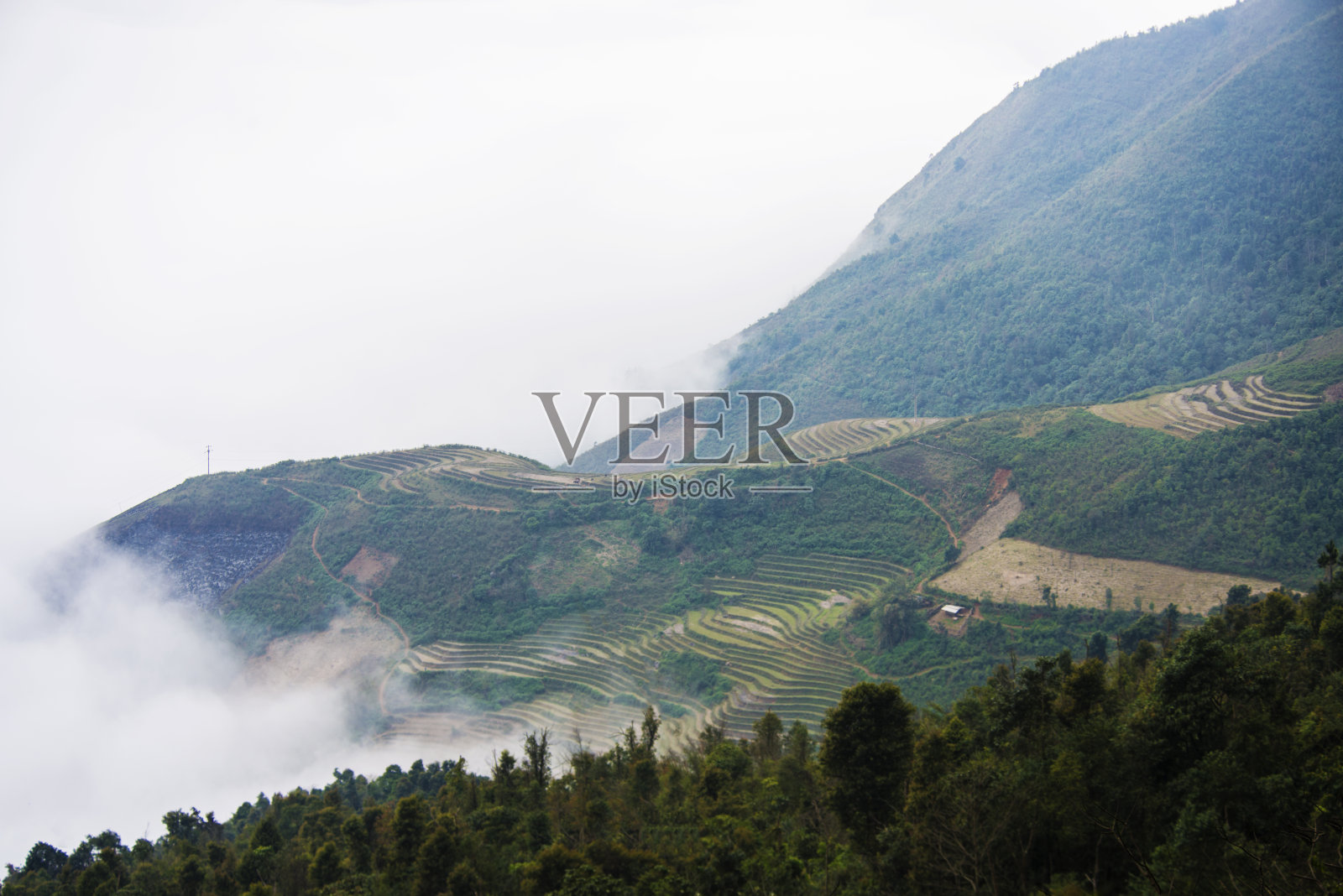 越南塔宣的云山照片摄影图片
