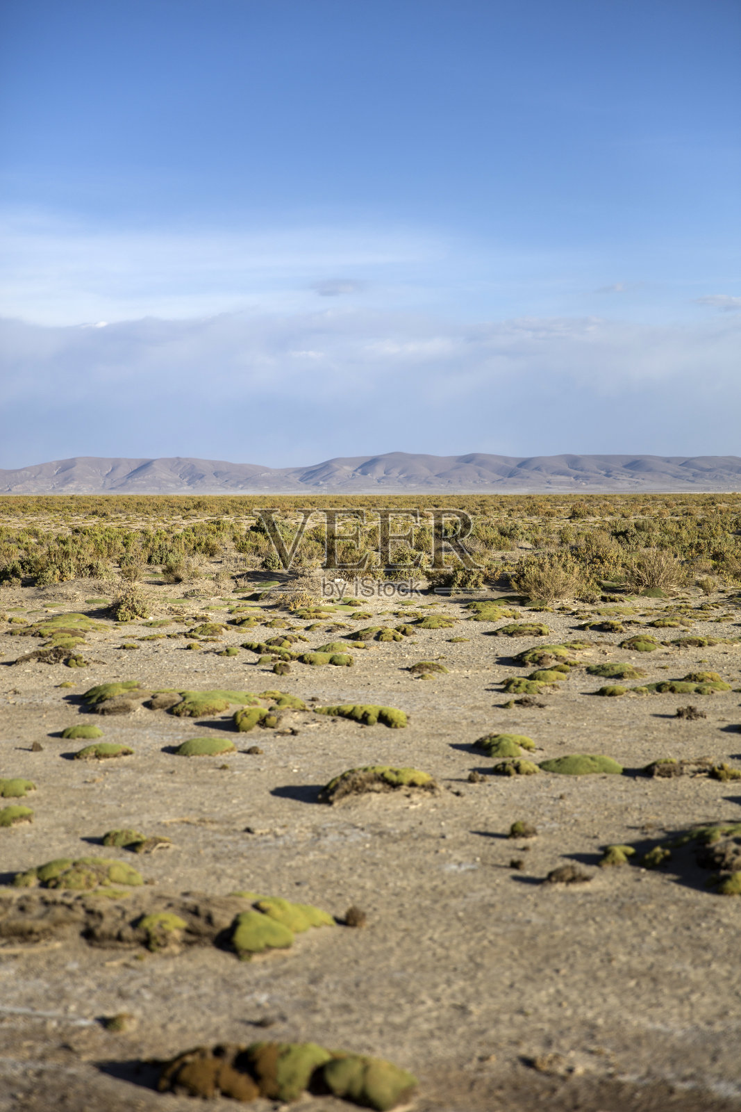 玻利维亚的大理沙漠照片摄影图片