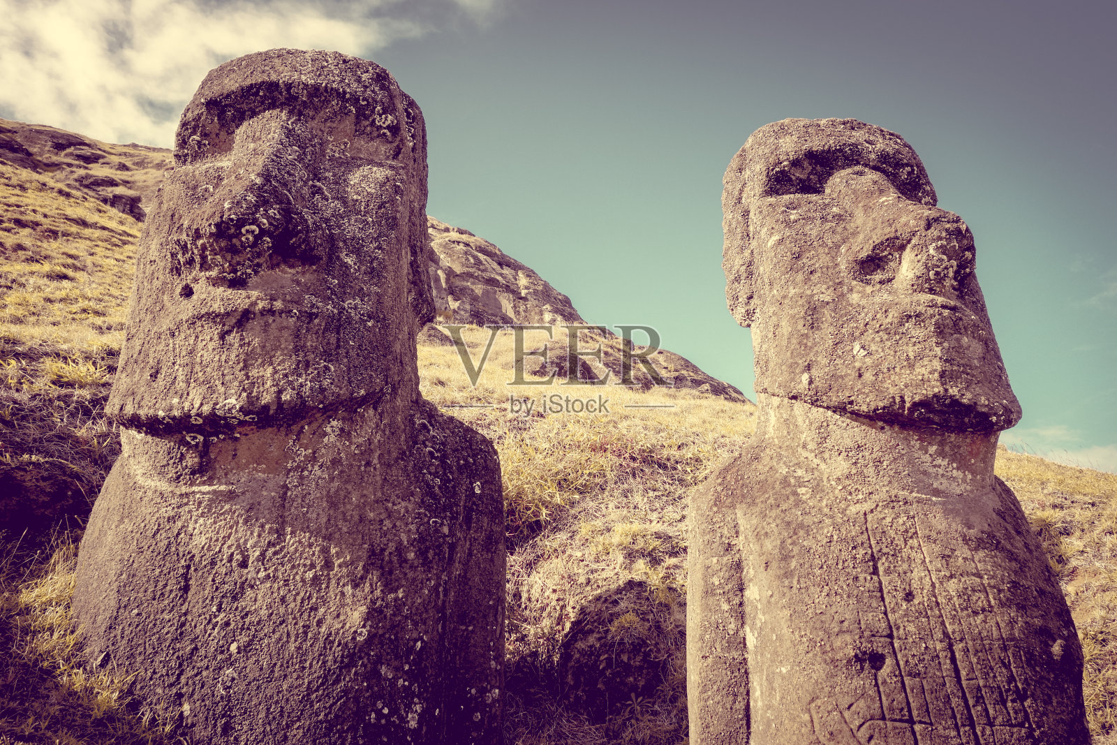 复活节岛上拉诺拉库火山上的摩埃石像照片摄影图片