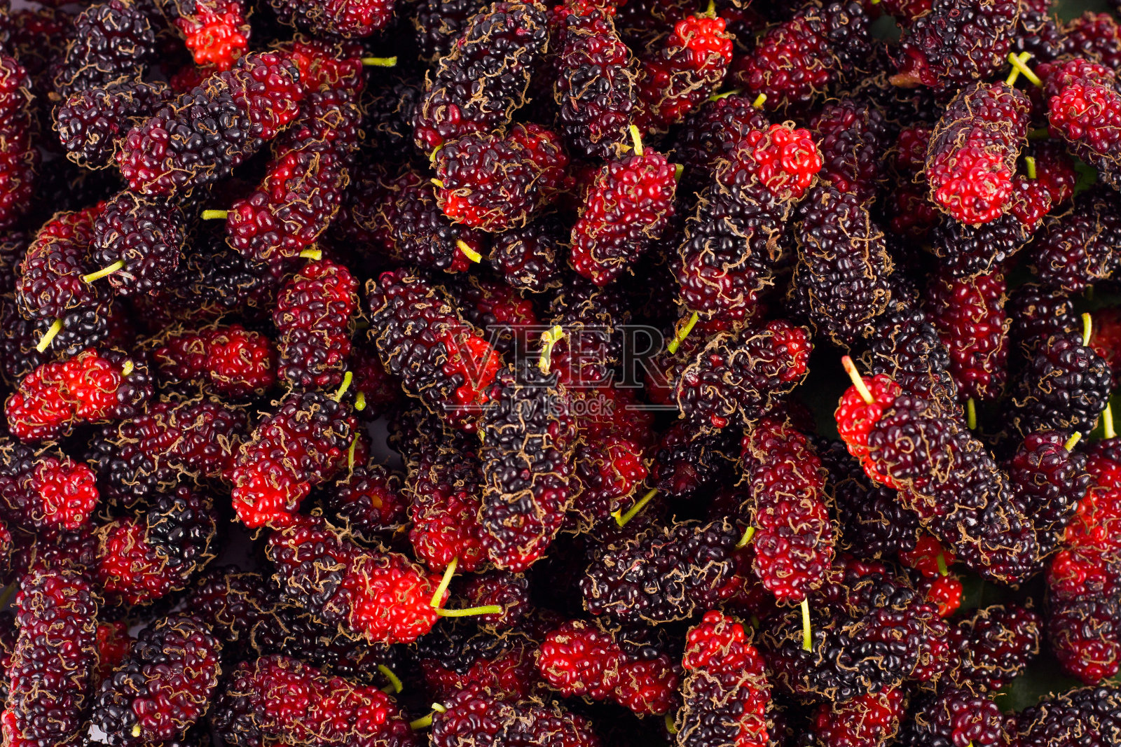 成熟桑椹(Morus)是黑色和红色的果实，在白色的背景下分离出来的健康桑椹果实照片摄影图片