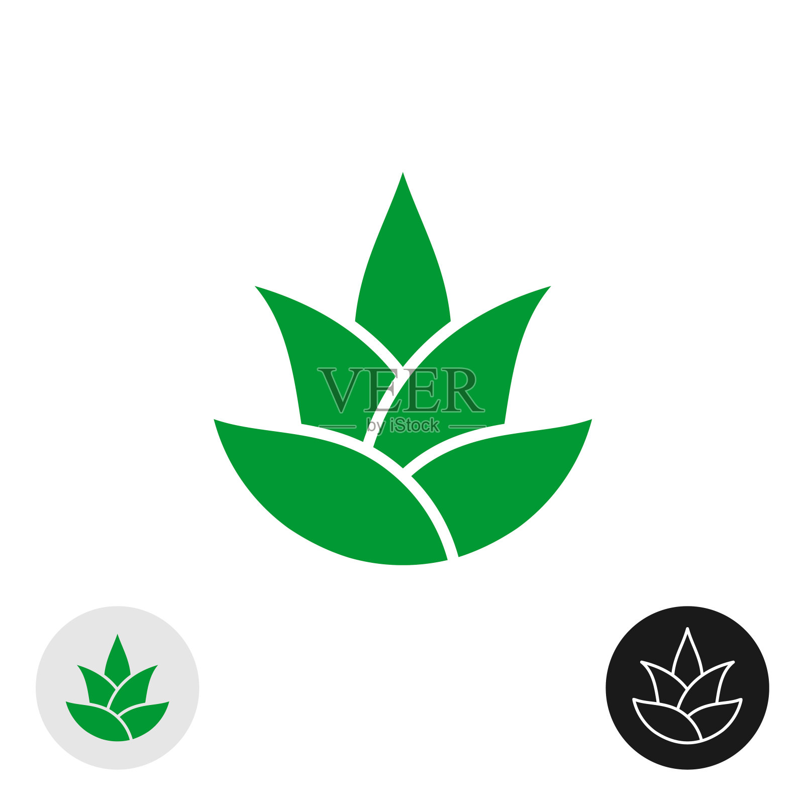 芦荟植物分离图标。芦荟叶的象征。图标素材