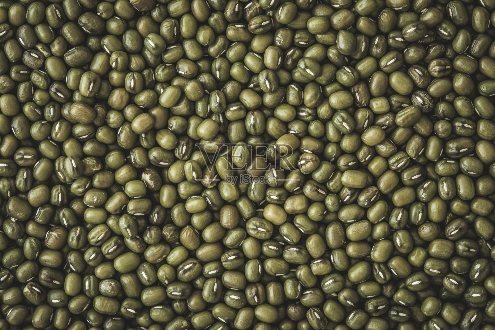 靠近绿色绿豆粒种子的背景照片摄影图片