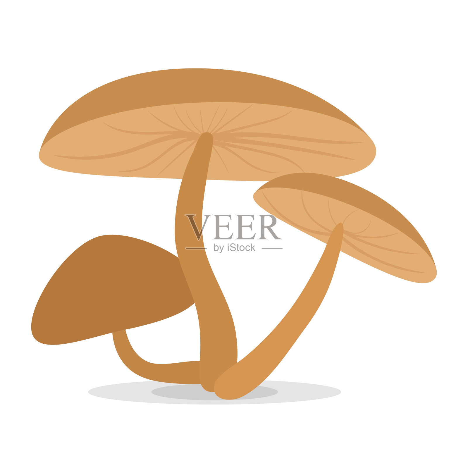 蘑菇卡通矢量图标孤立的白色背景。可食用或不可食用的蘑菇插画图片素材