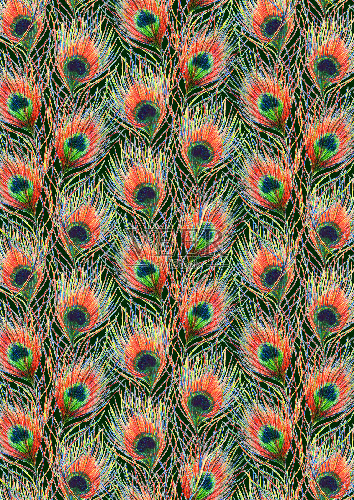 彩虹色彩丰富的孔雀鸟羽毛背景图案纹理插画图片素材