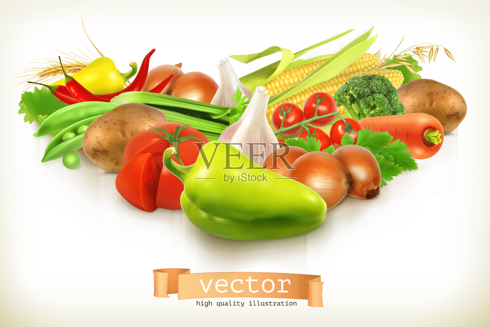 收获多汁和成熟的蔬菜矢量插图孤立在白色设计元素图片