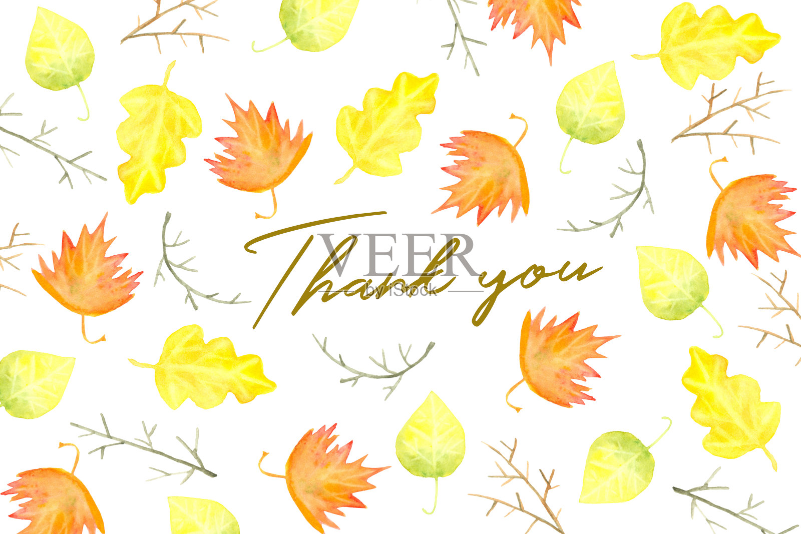 感谢您的水彩卡片设计秋天的树叶和树枝插画图片素材