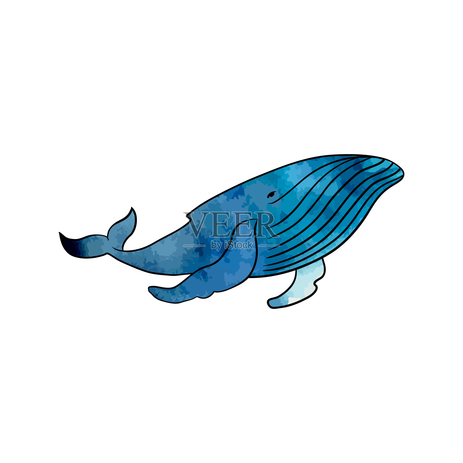 透明背景上的彩色鲸鱼。Vektor。设计元素图片