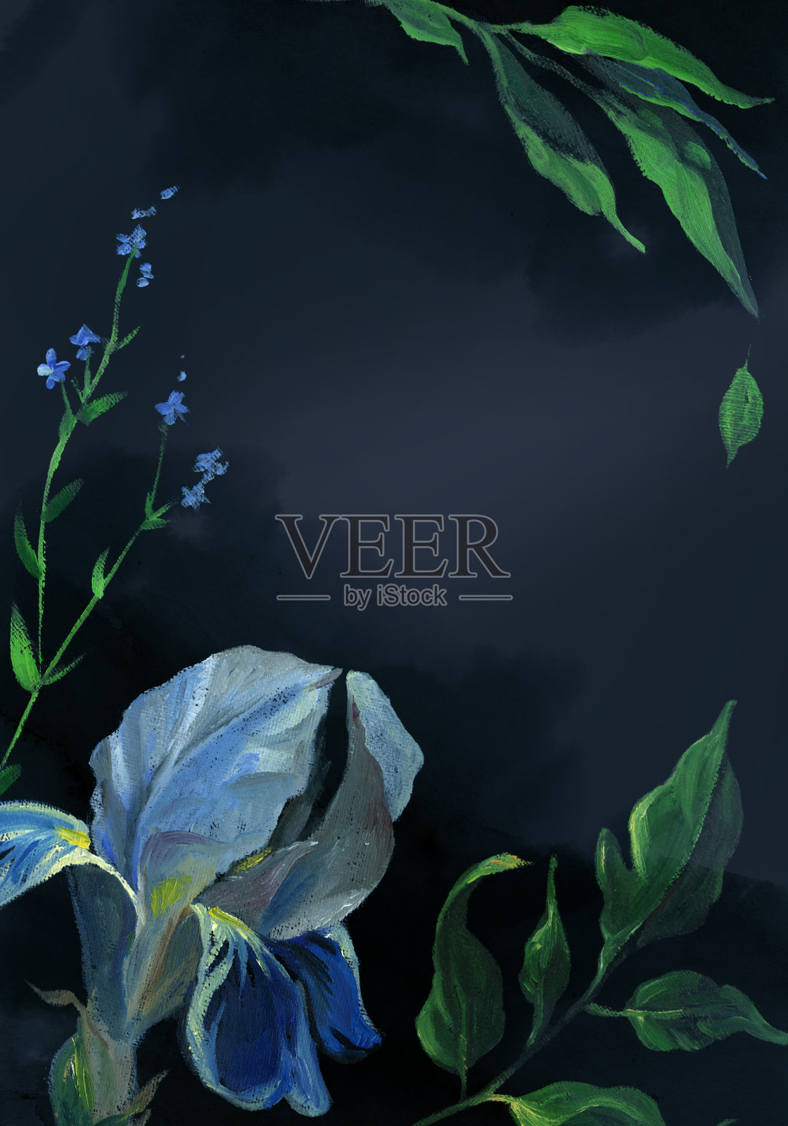 垂直卡片的蓝色鸢尾花和叶子在黑色的背景。花画在旧式风格插画图片素材