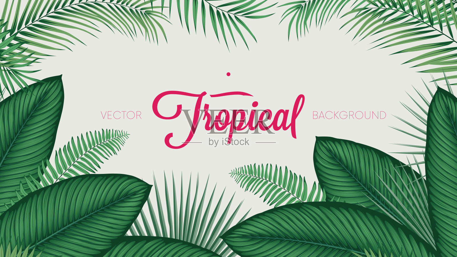 夏季热带乔木叶，矢量背景插画图片素材