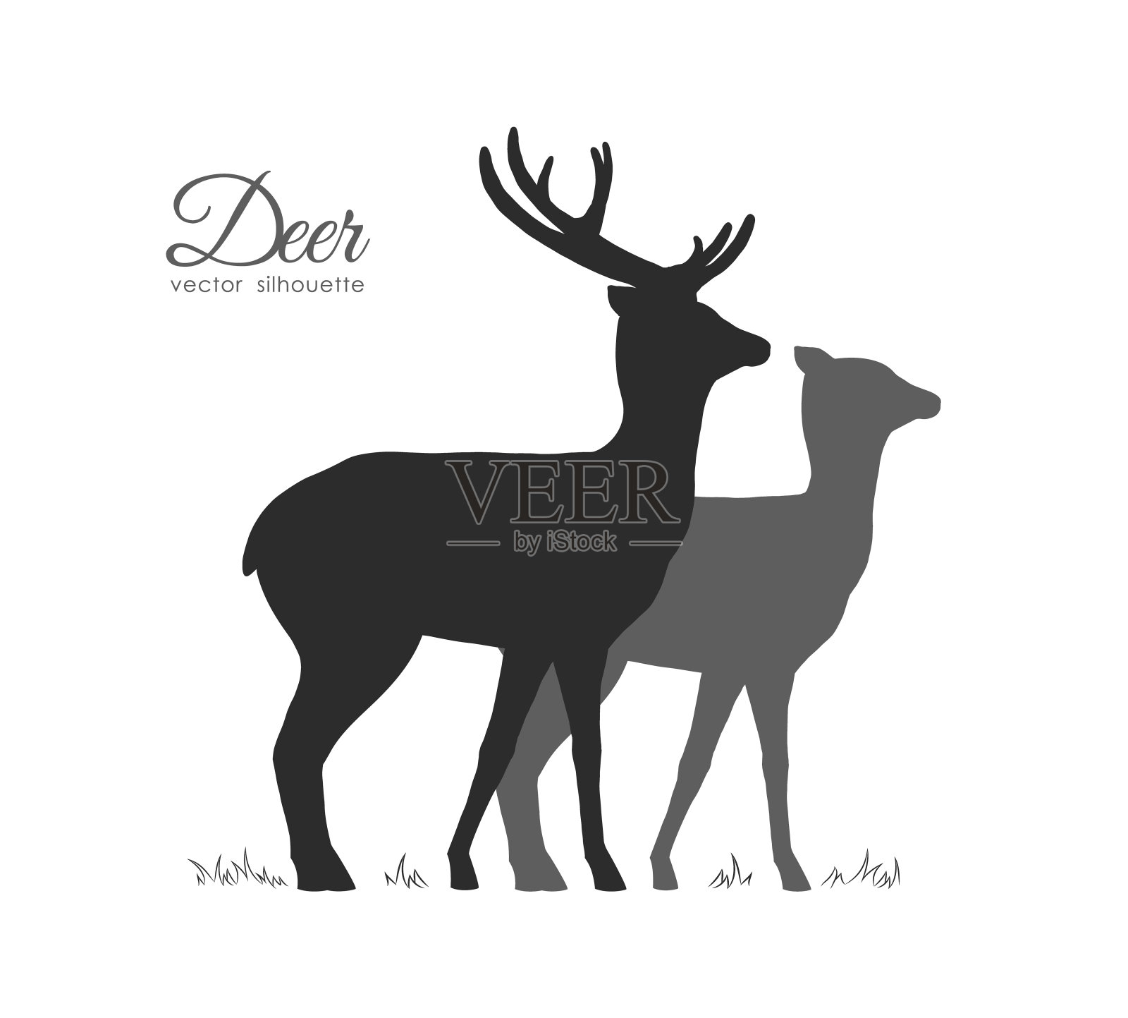 矢量插图:两个鹿孤立在白色背景剪影。插画图片素材