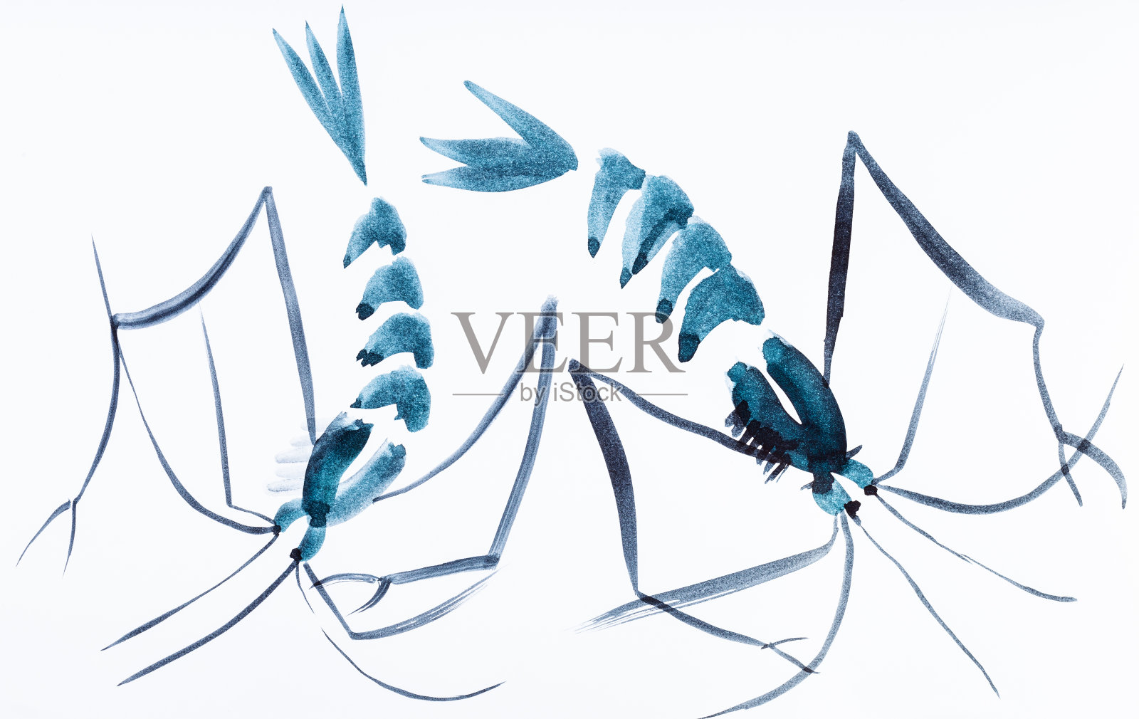 蓝色水彩画的两只虾插画图片素材