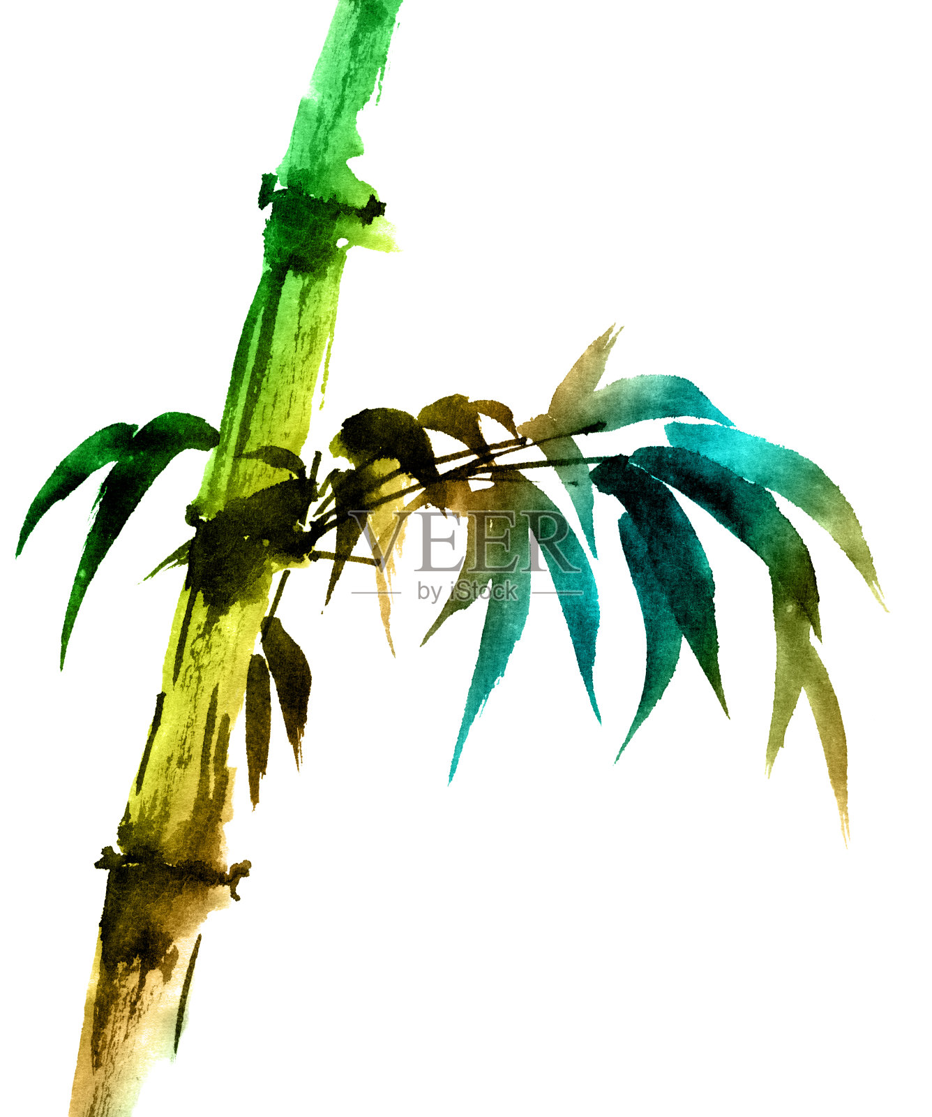 带叶的热带竹子插画图片素材