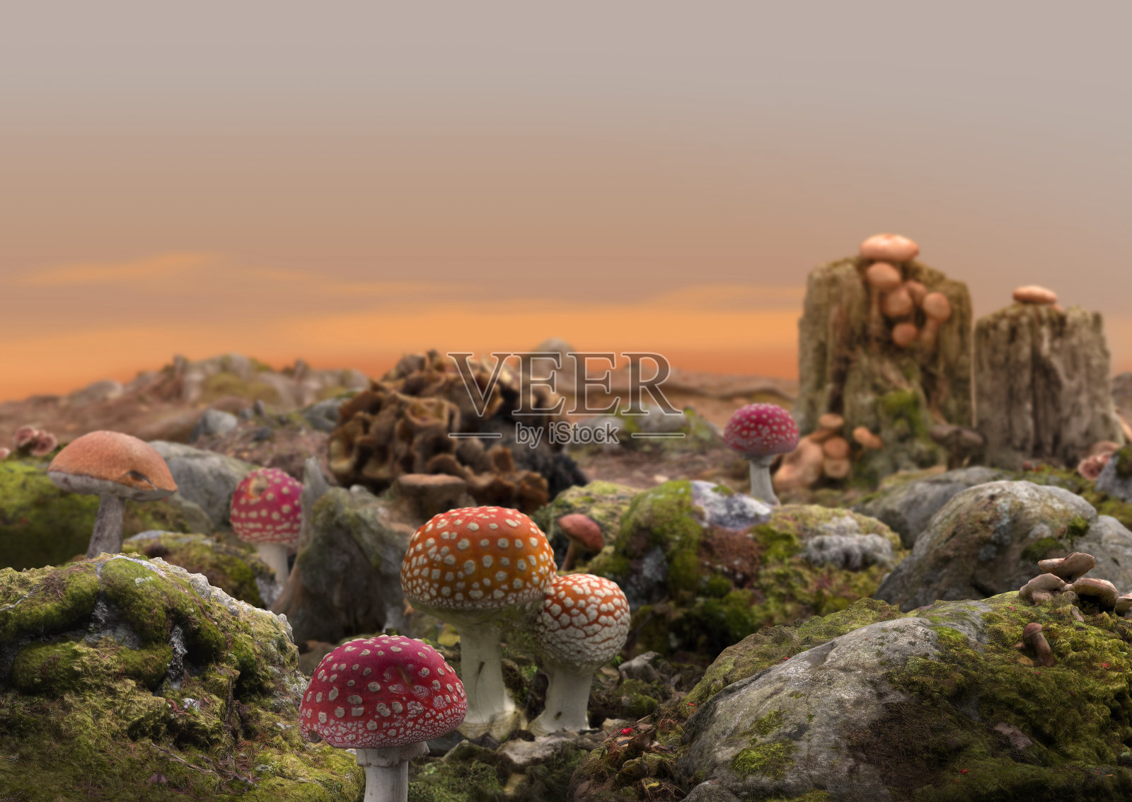奇幻蘑菇世界照片摄影图片