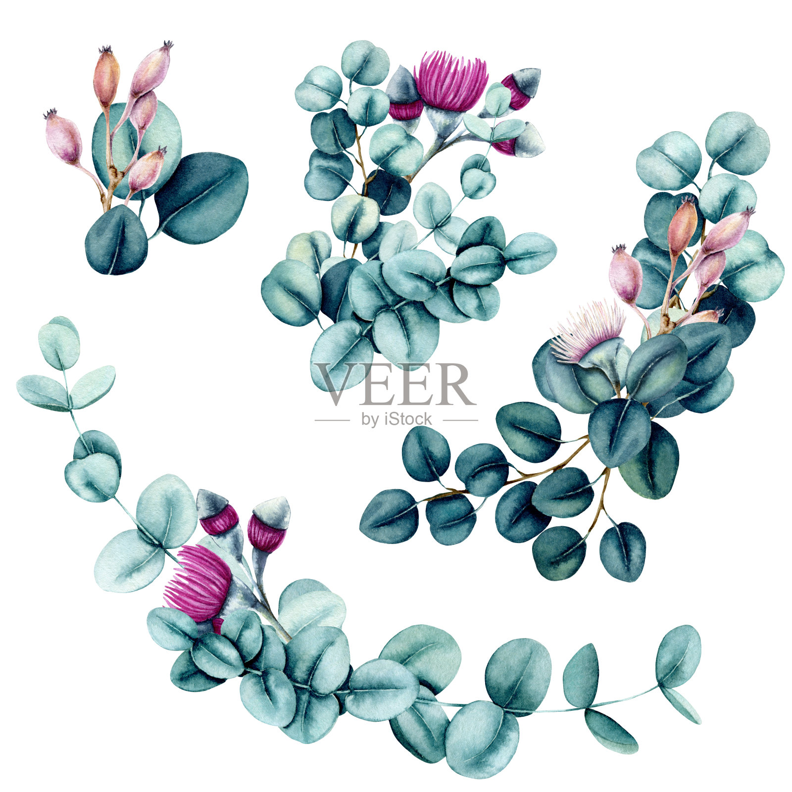 一套水彩花束与桉树真实的蓝色插画图片素材
