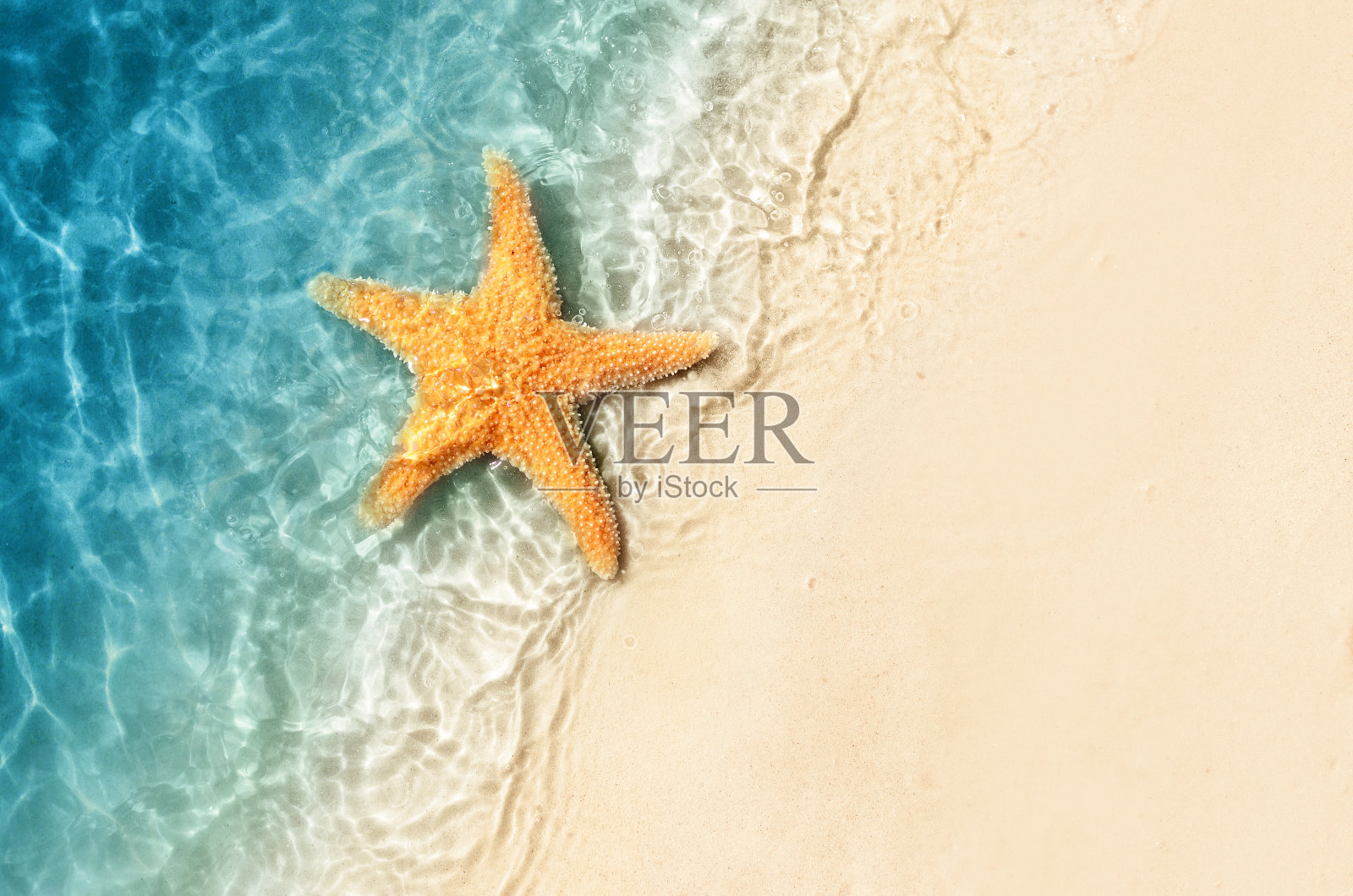 夏天海滩上的海星。夏天的背景。热带沙滩照片摄影图片