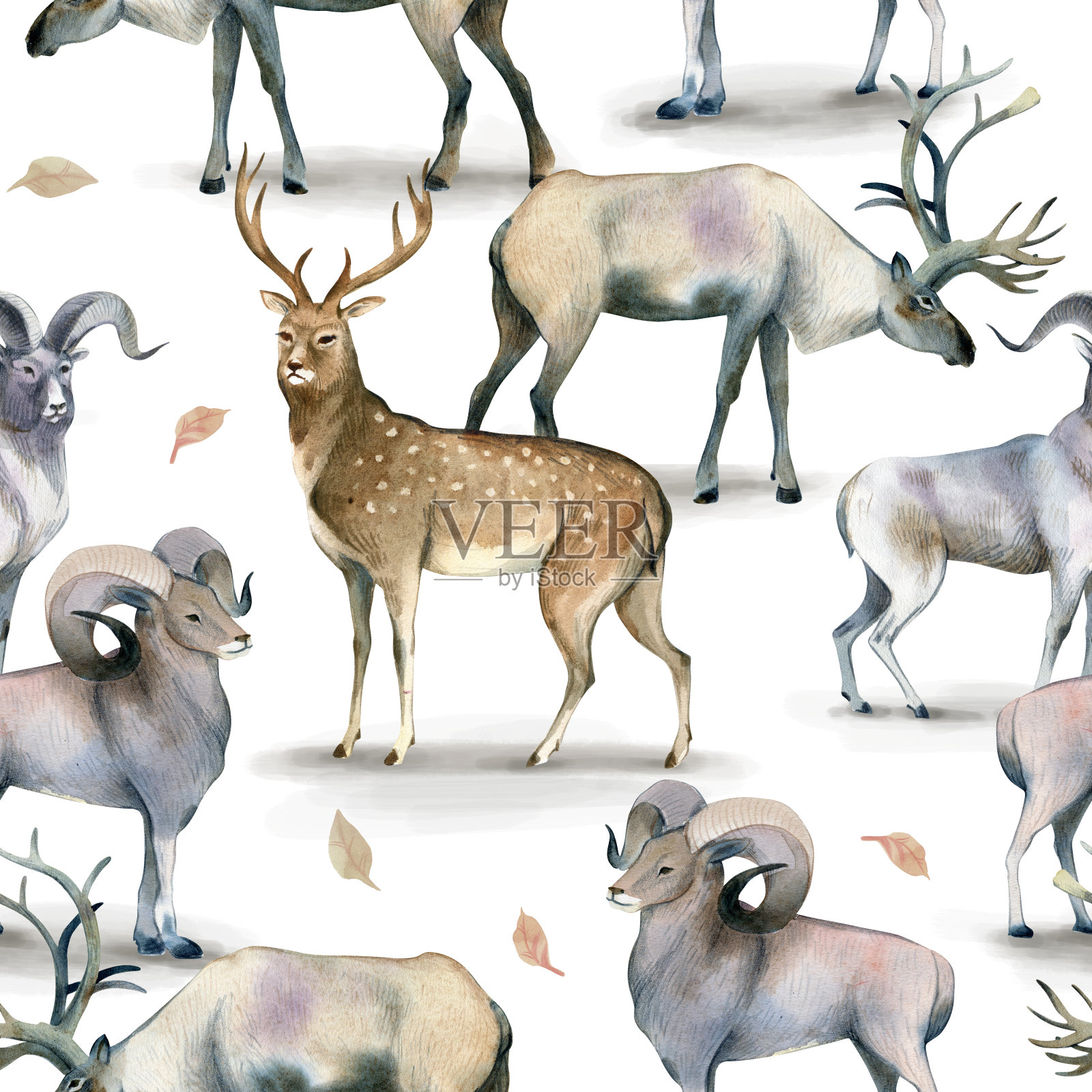 无缝动物图案，水彩背景鹿，鹿和羊肉的白色背景。插画图片素材