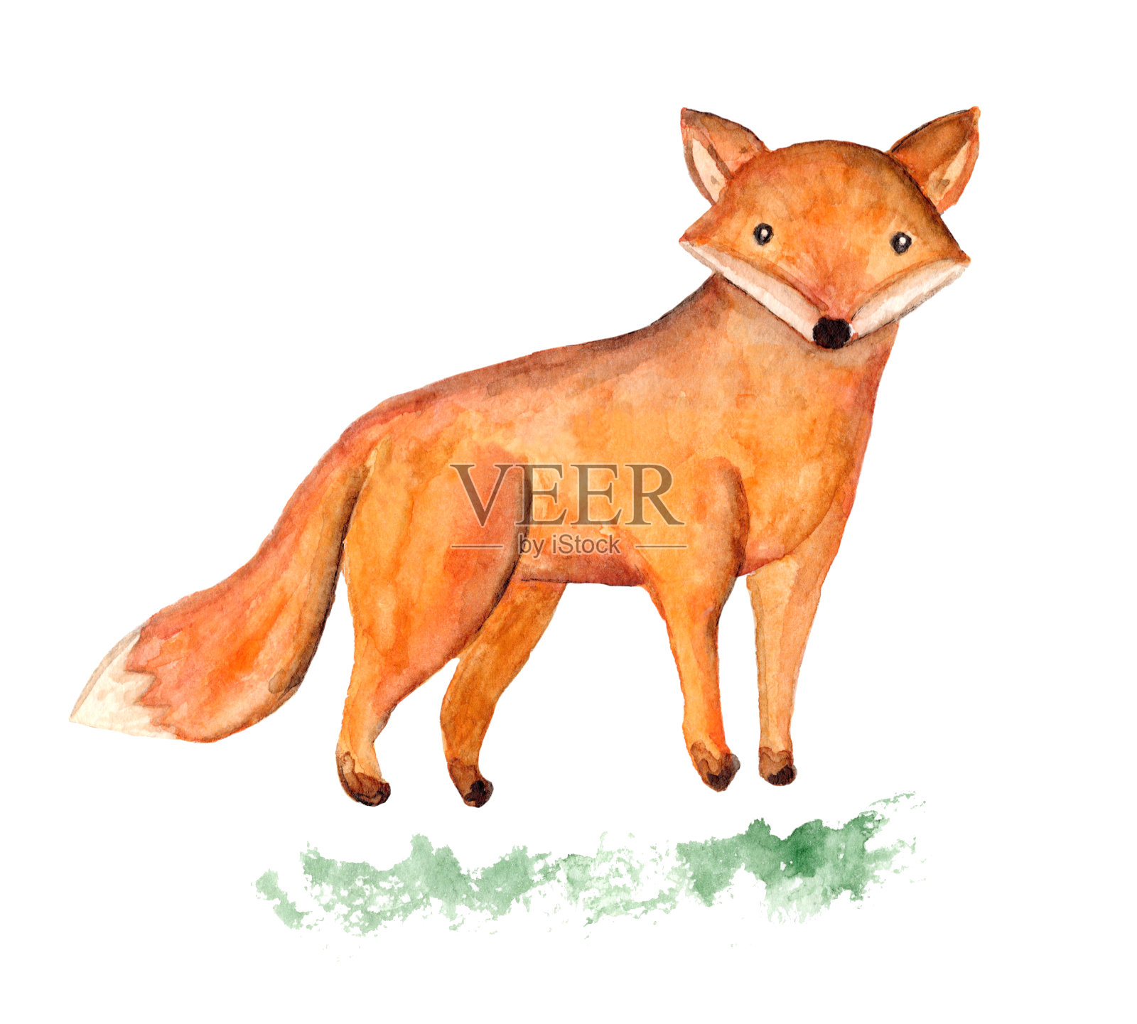 可爱的水彩橙色狐狸在草插图设计元素图片