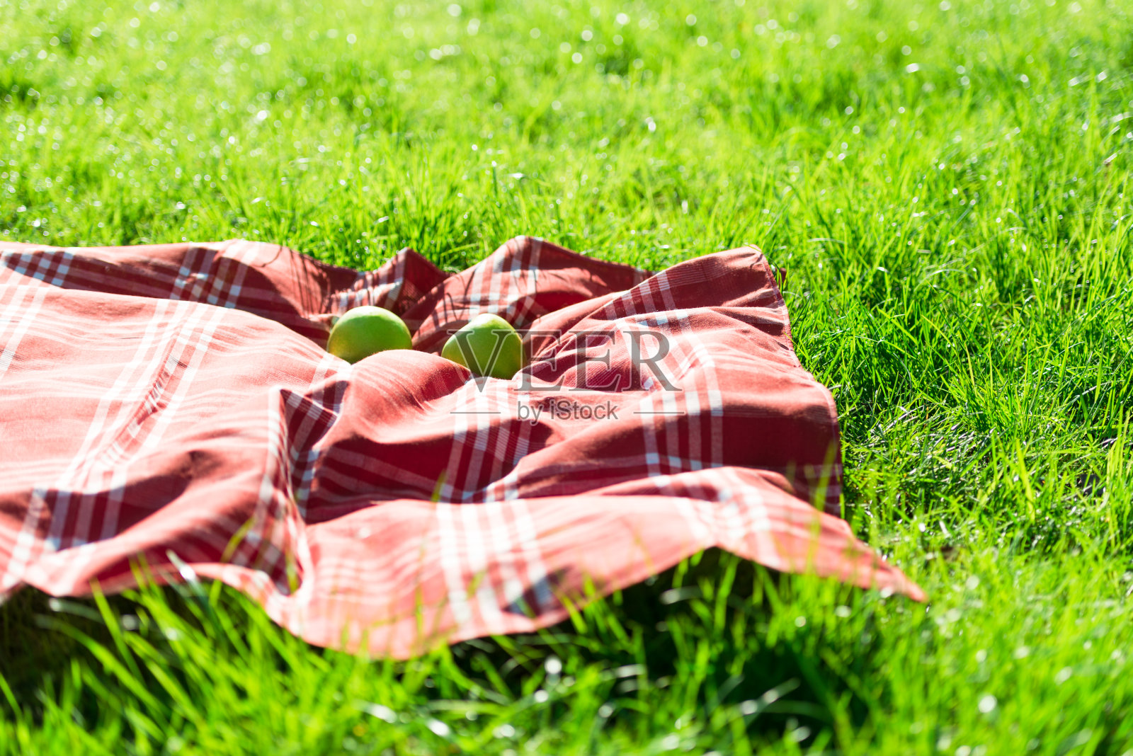 草地上有苹果的野餐毯子照片摄影图片