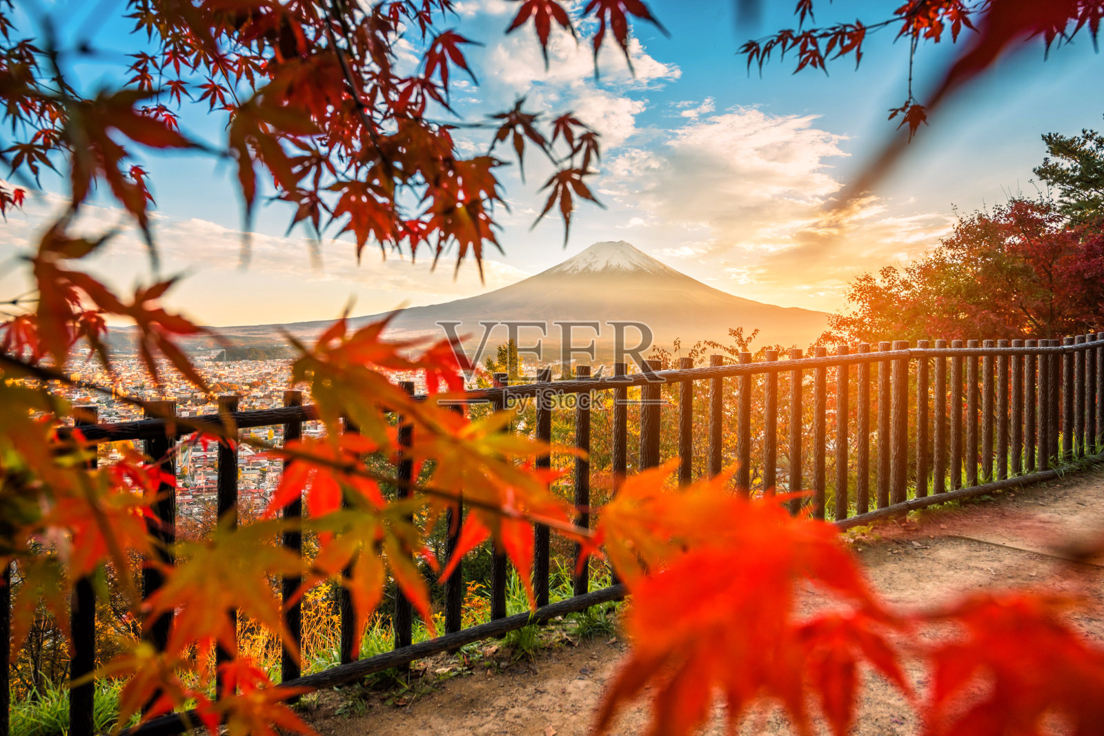 日本富士吉田，秋天日落时富士山的红叶。照片摄影图片