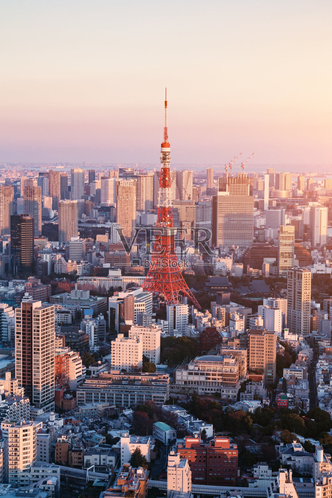 东京的天际线照片摄影图片