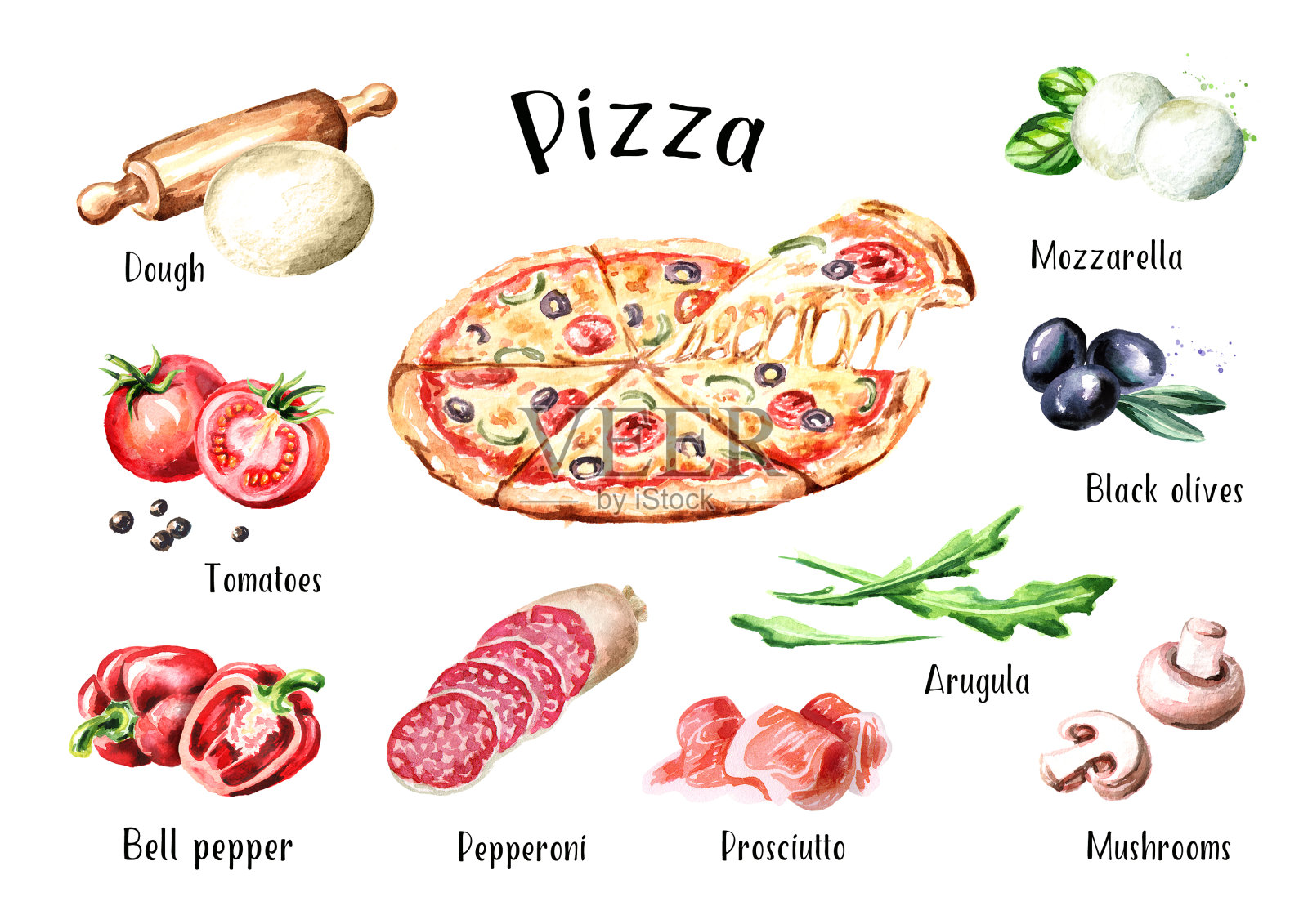 意大利披萨。成分。水彩手绘插图，孤立的白色背景设计元素图片
