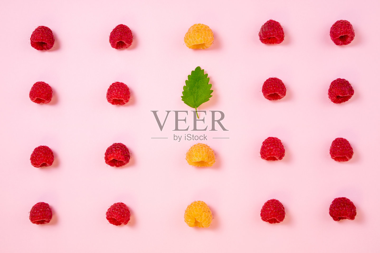粉红色背景上的覆盆子图案。平放夏季浆果，红色和黄色的覆盆子照片摄影图片