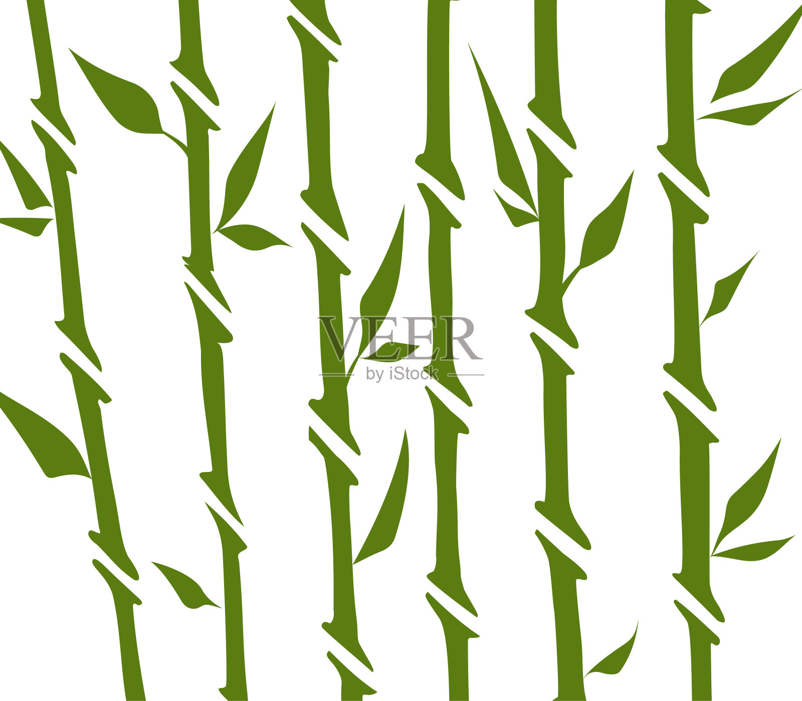 竹林。自然日本、中国。种植有叶子的绿树。在亚洲热带雨林设计元素图片