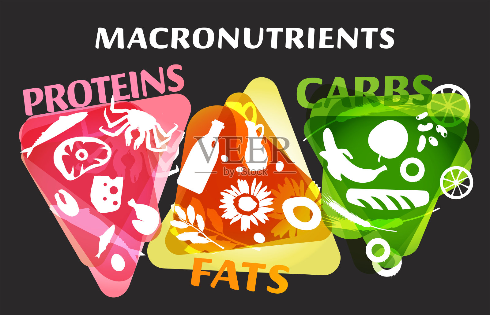 主要食物类别-大量营养素插画图片素材
