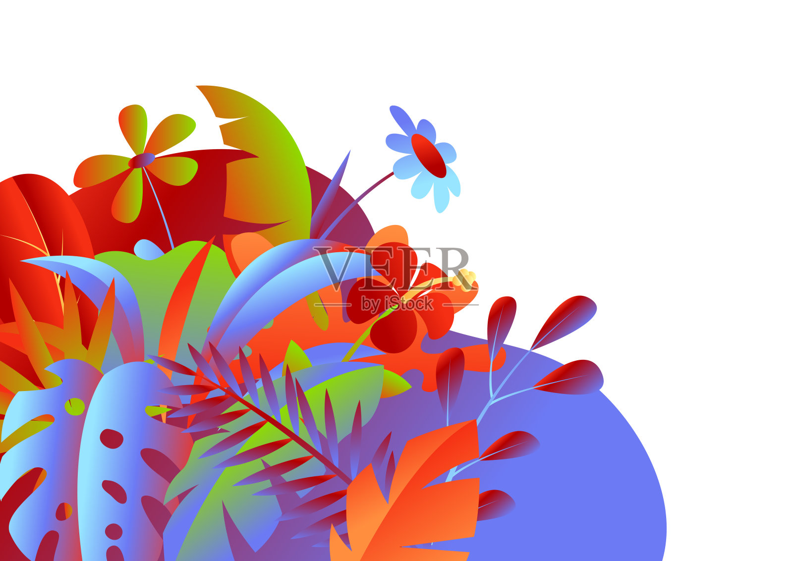 背景有热带的叶子和花。插画图片素材