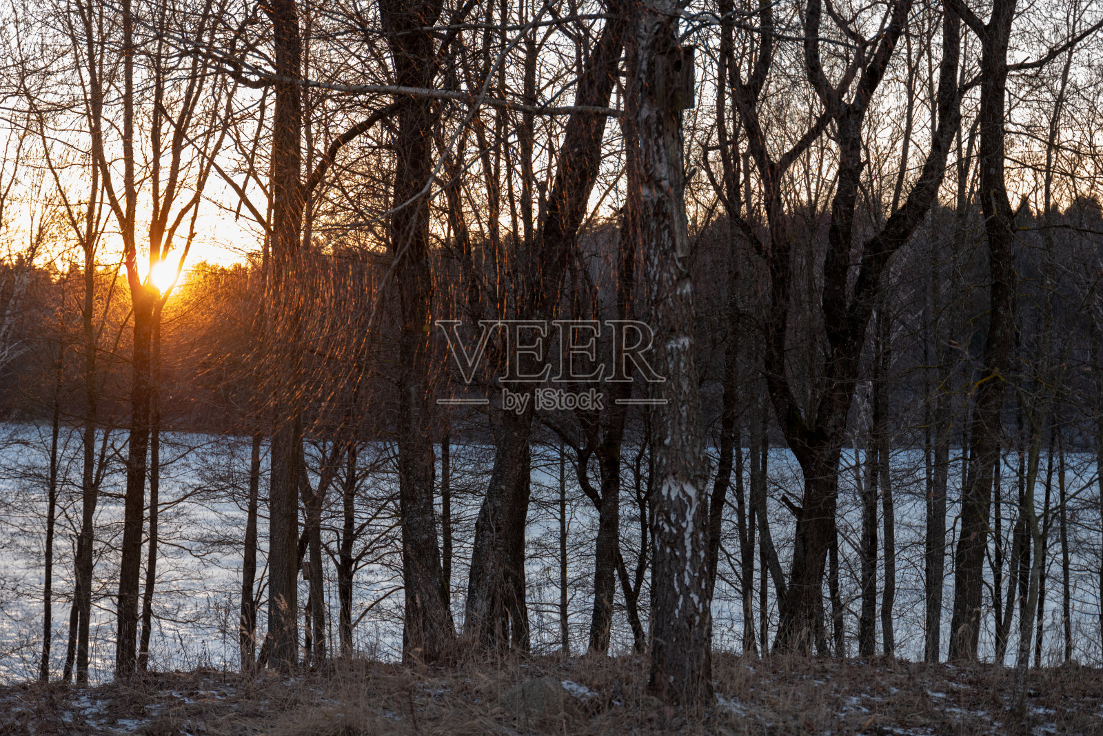 冬季河流景观照片摄影图片