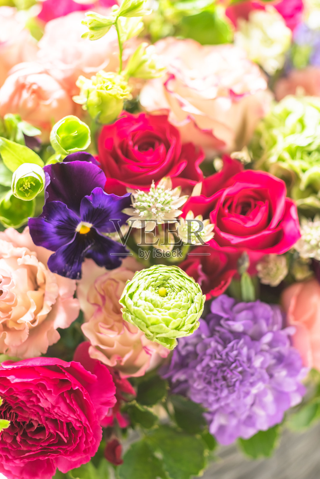 很多漂亮的花的特写想送礼物照片摄影图片