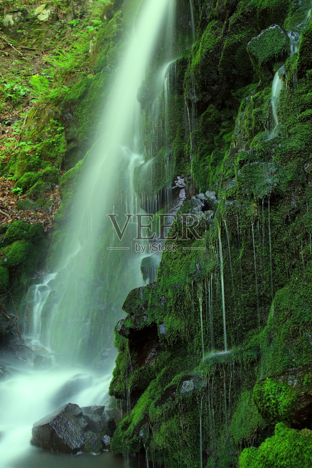 鲜绿的瀑布照片摄影图片