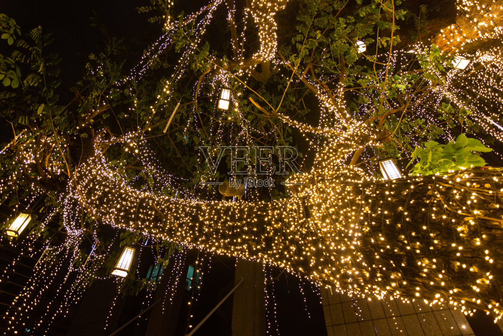 在节日的夜晚，装饰室外的串灯挂在花园里的树上照片摄影图片