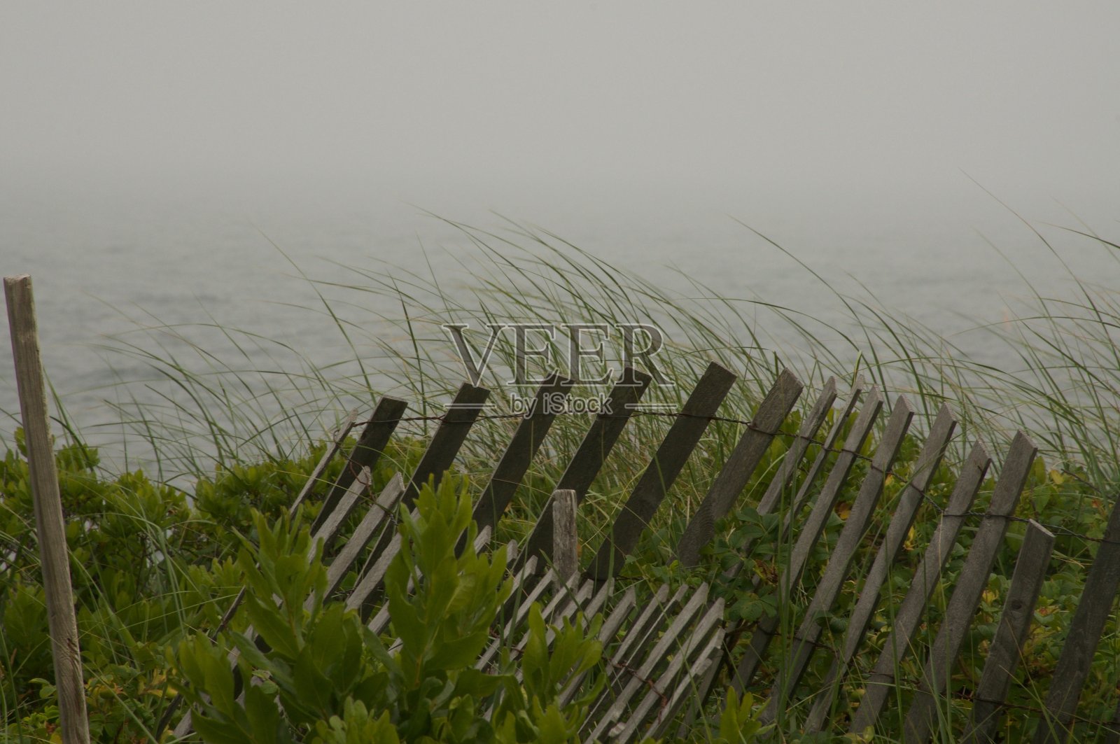 在南塔开特湾海滩上，在一个朦胧的夏夜天空下的栅栏和海滩草照片摄影图片