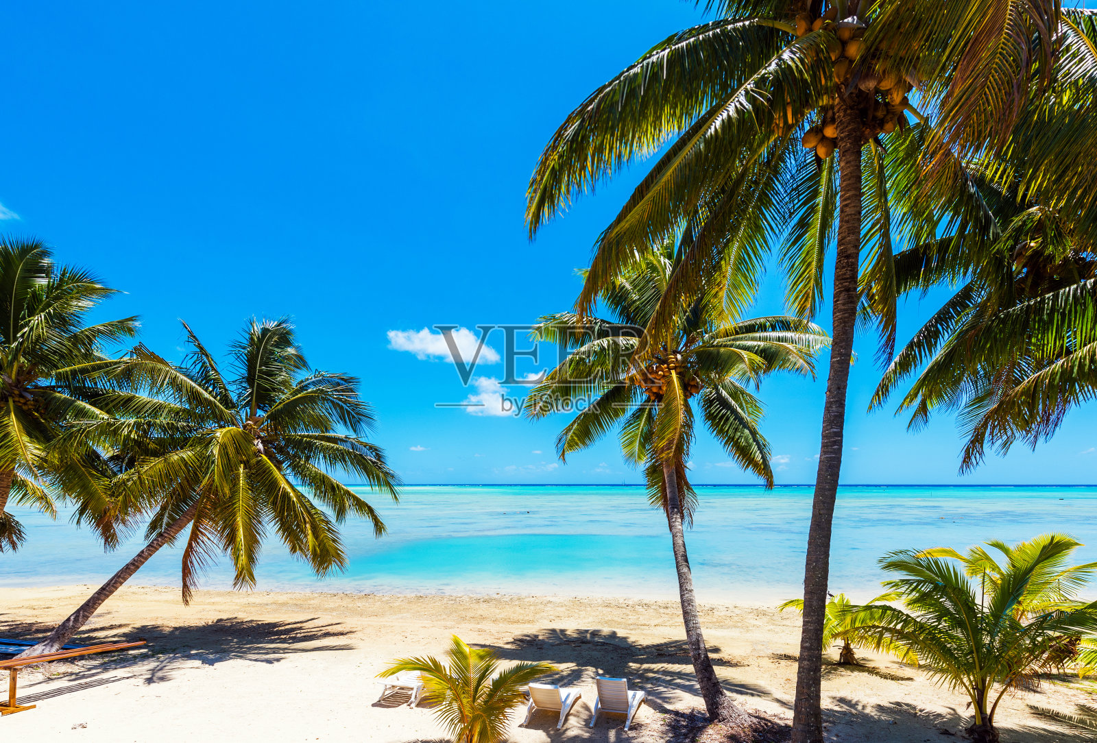 令人惊叹的热带艾图塔基岛，棕榈树，白色的沙子，蓝绿色的海水和蓝天在库克群岛，南太平洋。文本复制空间照片摄影图片
