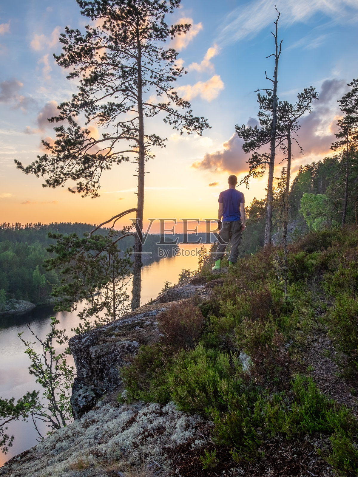 芬兰的森林、湖景和夏日傍晚站着的男人照片摄影图片