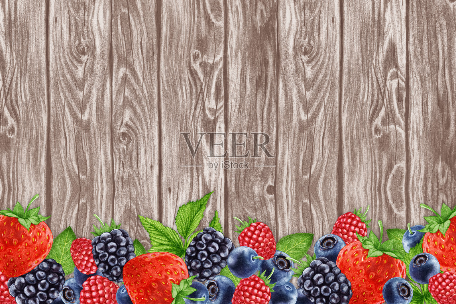 手绘莓木背景。数字彩色。插画图片素材