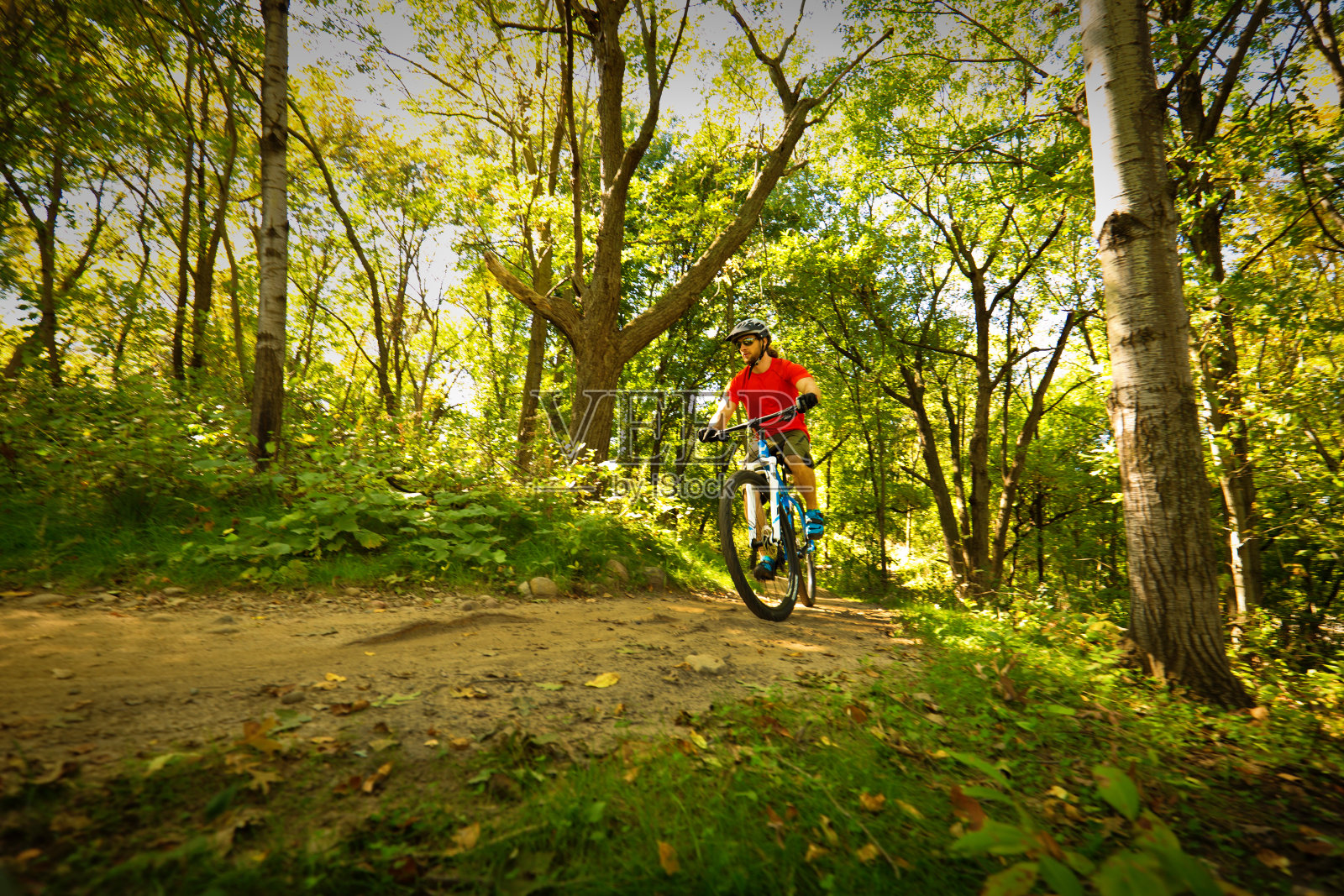 山地自行车在森林自行车道在明尼阿波利斯，明尼苏达州，美国照片摄影图片