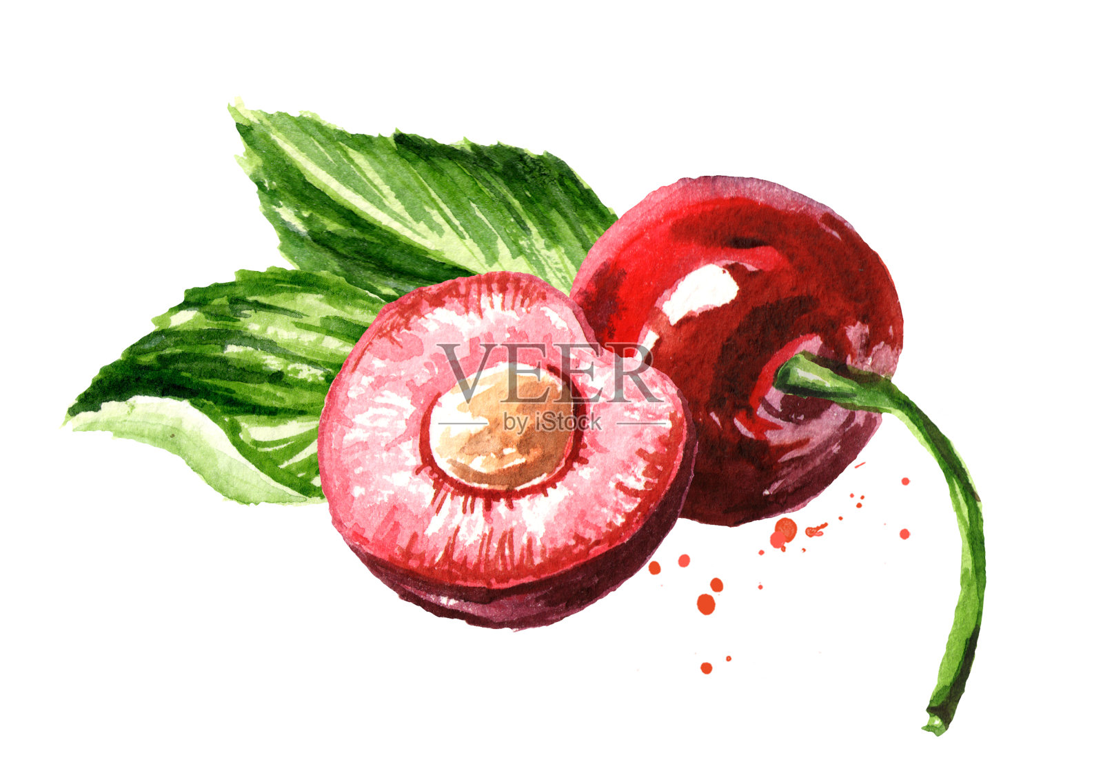 新鲜成熟的红樱桃水彩手绘插图孤立在白色的背景插画图片素材
