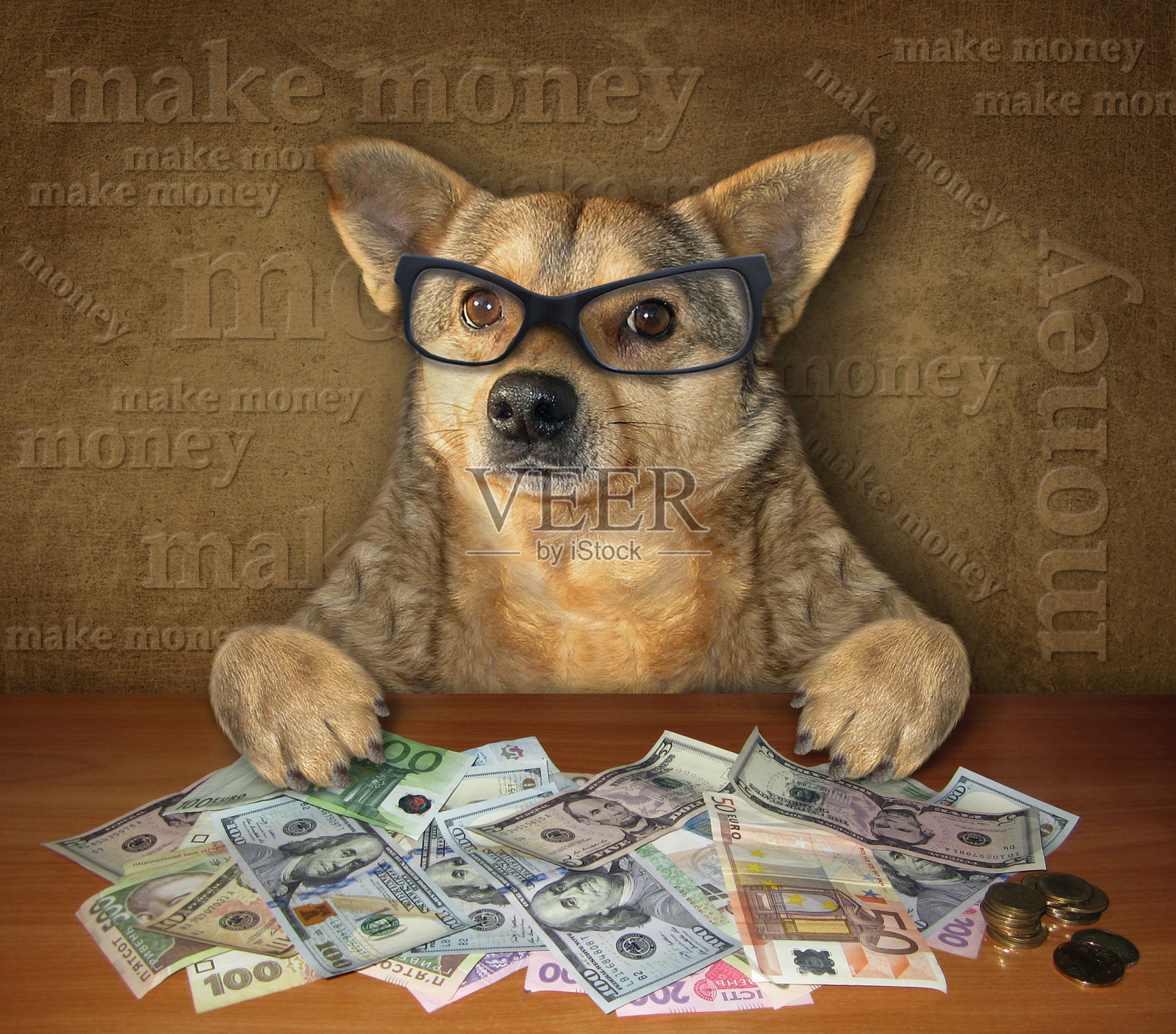 狗在桌子上拿着美元照片摄影图片