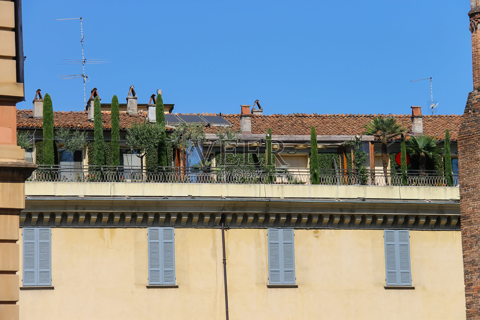 风景如画的老建筑，在市中心的露台上有树。意大利皮亚琴察照片摄影图片