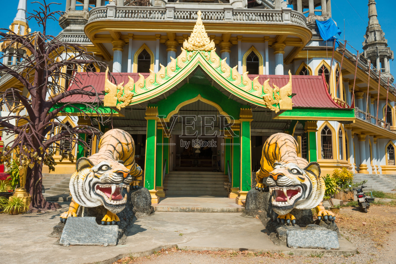 泰国佛教寺庙里的老虎雕像照片摄影图片