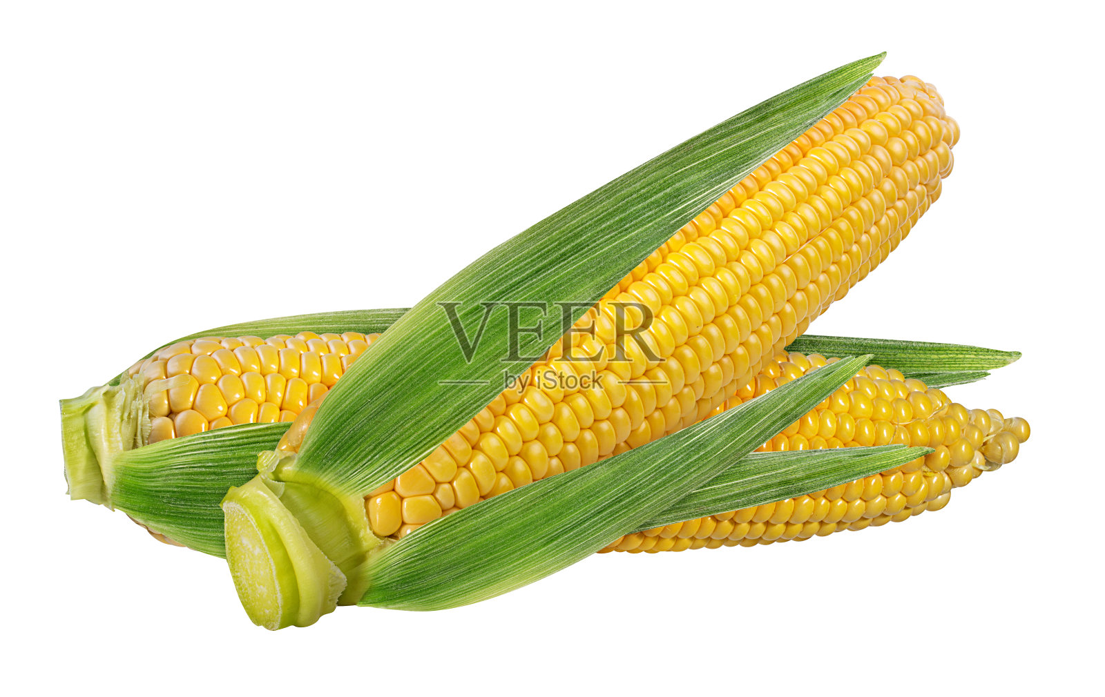玉米分离在白色照片摄影图片