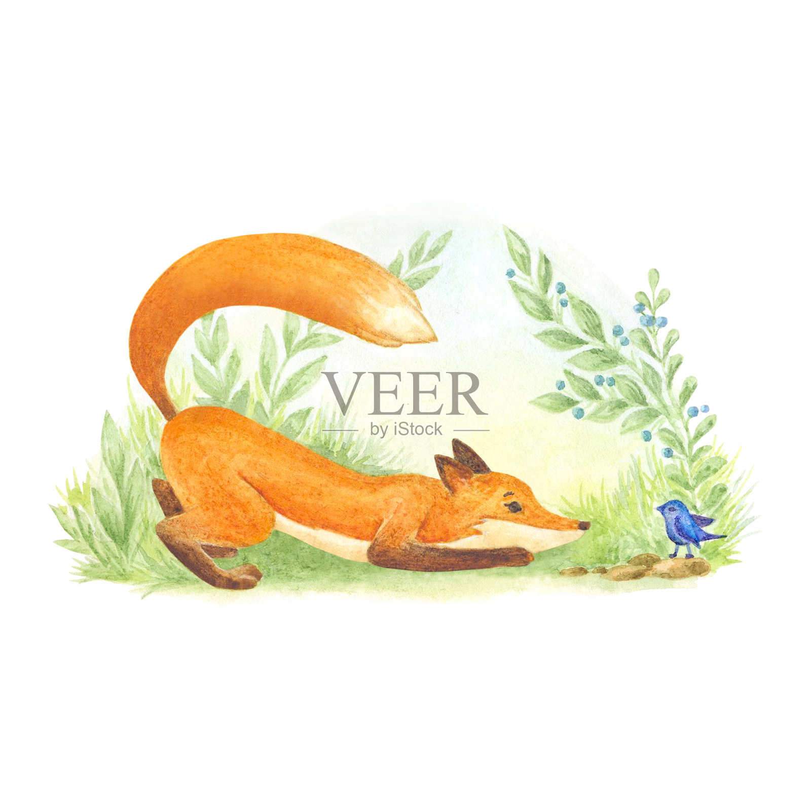 一只狐狸和一只蓝色的鸟玩耍的水彩画插图插画图片素材