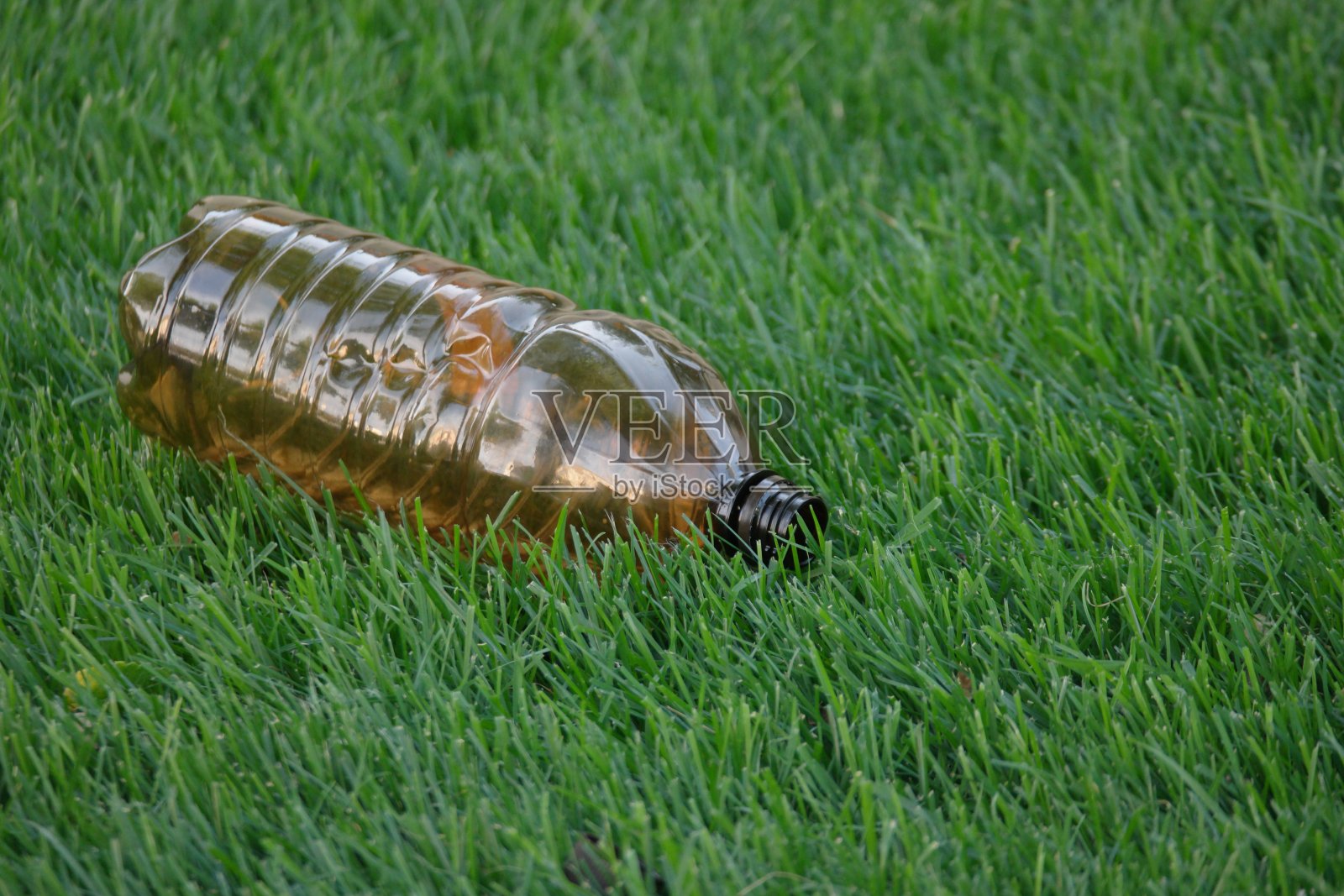 绿草里的塑料瓶。塑料对环境的污染。地球保护日图片。塑料垃圾躺在绿色草坪上与copyspace拍摄照片摄影图片
