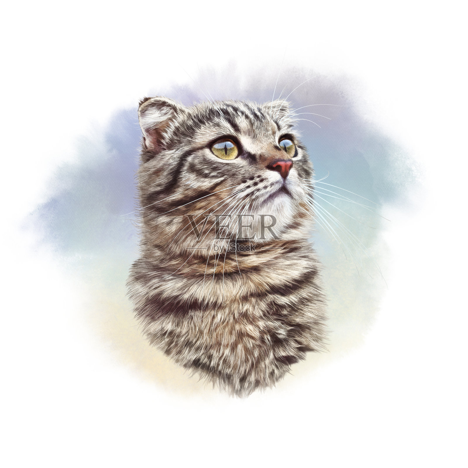 一只可爱的猫的水彩画肖像。插画图片素材